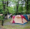キャンプ場