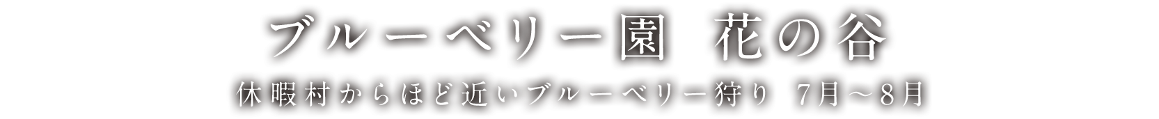 ブルーベリー園　花の谷 休暇村からほど近いブルーベリー狩り　7月～8月