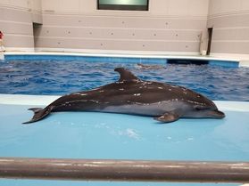 水族館に行こう♪