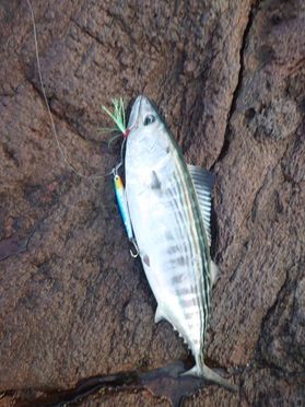 長崎鼻の釣り