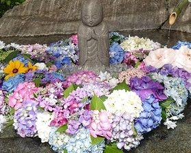 ​梅雨を彩るあじさいを見に行こう♪　俱利伽羅不動寺