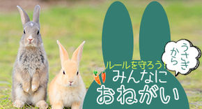 うさぎからみんなへおねがい