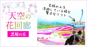 天空の花回廊　芝桜の丘