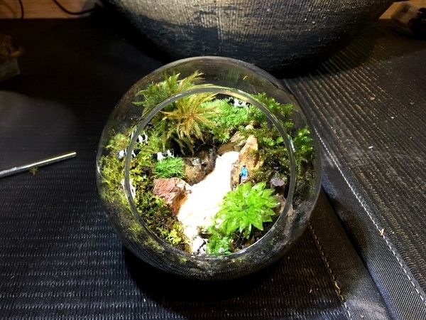 自由な発想でレイアウト！