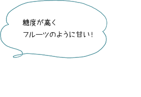 糖度が高くフルーツのように甘い！