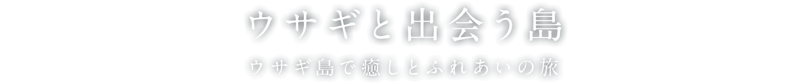 ウサギと出会う島　ウサギ島で癒しとふれあいの旅